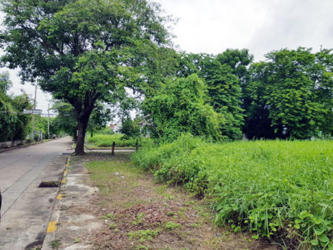 ขายที่ดินกฤษดานคร18พุทธมณฑลสาย3
