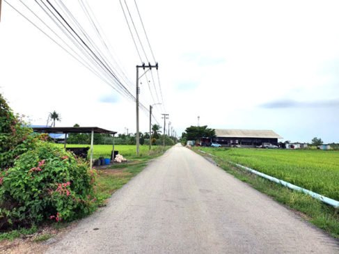 ขายที่ดินหนองจอกราคาถูกที่สุด