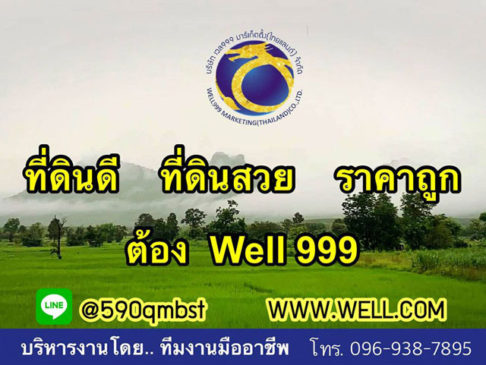 รับบริหารโครงการอสังหา ทีม บริหารงานขายโครงการ WELL999 บริการด้านอสังหาริมทรัพย์ทุกรูปแบบ