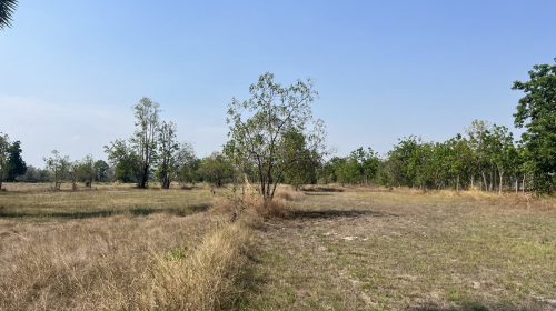 ขายที่ดิน ห่างเมืองเก่าสุโขทัย 10 กิโลเมตร เป็นที่นา มีบ่อน้ำ อำเภอคีรีมาศ โทร 0917796341