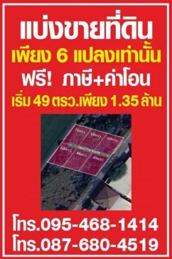 ขายที่ดินนนทบุรี ไทรน้อย บางบัวทอง-ถมแล้ว เส้นบ้านกล้วย-ไทรน้อย ซอยสามัคคีธรรม2 โทร 095-4681414