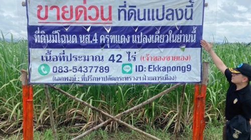 ด่วน ขายที่ดินแม่สอด-ห้วยกระโหลก จำนวน 42 ไร่ (ที่ดินมีโฉนด นส. 4 ครุฑแดงแปลงเดียวในย่านนี้)