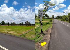 ขายที่ดินเยื้องวัดป่านานาชาติ-อุบล ถนนบ้านบุ่งหวาย-วารินชำราบ