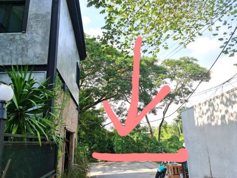ขายที่ดินที่ดินอยู่ใกล้ตลาดบางน้ำผึ้ง-บางกระเจ้า-แหล่งท่องเที่ยว ติดถนนจักรยาน
