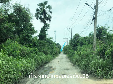 ขายถูกที่ดินคลอง2คลวงหลวงปทุมธานี ขายที่ดินใกล้วัดพระธรรมกาย