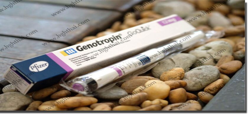 โกรทฮอร์โมนเพิ่มมวลกล้ามเนื้อลดไขมัน โกรทฮอร์โมนยาต่อต้านความชรา ฮอร์โมนต้านแก่ Pfizer Genotropin GoQuick Pen (36iu) HGH