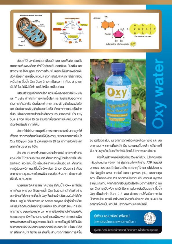 น้ำดื่มOXYGENดีต่อสุขภาพ เครื่องดื่มน้ำออกซิเจนตราOxy ประโยชน์ของน้ำออกซิเจน OXY นวตกรรมเพื่อสุขภาพ ไขความลับประโยชน์ของน้ำบำบัดโรค
