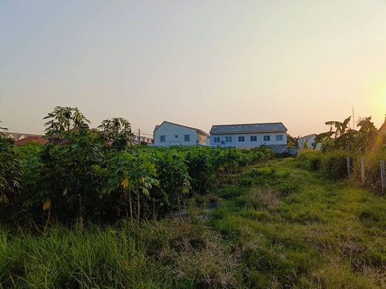 ขายที่ดินในหมู่บ้านประภัสสรกรีนพาร์ค5 ขายถูกสุดในโครงการ ถุกกว่าทั่วไป ตำบลนาป่า อำเภอเมืองชลบุรี