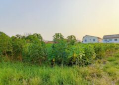 ขายที่ดินในหมู่บ้านประภัสสรกรีนพาร์ค5 ขายถูกสุดในโครงการ ถูกกว่าทั่วไป ตำบลนาป่า อำเภอเมืองชลบุรี