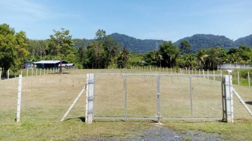 ขายที่ดินบ้านควนอำเภอถลาง จังหวัดภูเก็ต 1ไร่ 363 ตรว. เหมาะการสร้างบ้านพักอาศัย สร้างบ้านขาย หรือ จัดสรรแบ่งขาย