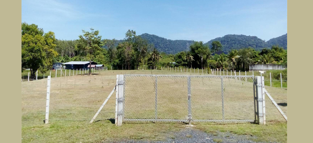 ขายที่ดินบ้านควนอำเภอถลาง จังหวัดภูเก็ต 1ไร่ 363 ตรว. เหมาะการสร้างบ้านพักอาศัย สร้างบ้านขาย หรือ จัดสรรแบ่งขาย