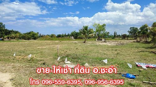 ขาย ให้เช่า ที่ดินสวย ที่ดินเปล่า 3 ไร่ ชะอำ เพชรบุรี ใกล้หัวหิน