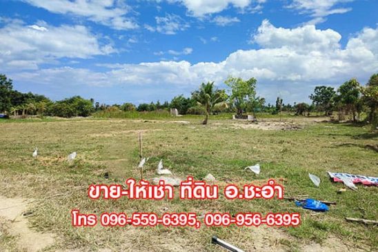 ขาย ให้เช่า ที่สวย ที่ดินเปล่า 3 ไร่ ชะอำ หัวหิน เพชรบุรี