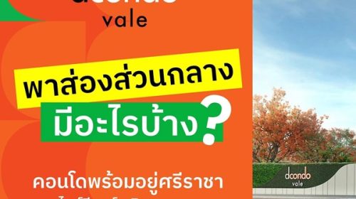 Dcondo Vale Sriracha แต่งครบ พร้อมเฟอร์ ใกล้มหาลัยเกษตร ศรีราชา มากที่สุด 240 เมตร โทร 093-1681685