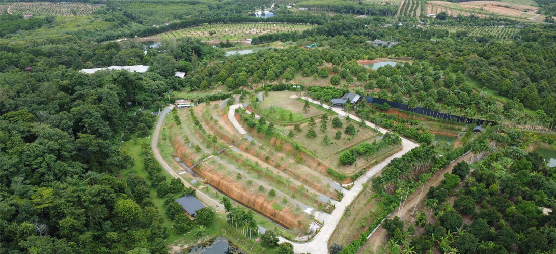 ลงทุนสวนทุเรียนพร้อมบ้านตากอากาศ วิวเขา 11 ไร่ – รายได้ทันที ราคาพิเศษ ถูกกว่าในพื้นที่เป็นล้าน!