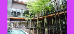 บ้านหลังใหญ่หรูใกล้ซีดีซีและคริสตัลพาร์ค เลียบด่วนรามอินทรา 曼谷家庭大宅特价出售 บ้านเดี่ยวสำหรับครอบครัว ลดราคาพิเศษ กรุงเทพฯ ลาดพร้าว