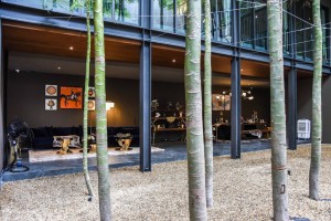 บ้านหลังใหญ่หรูใกล้ซีดีซีและคริสตัลพาร์ค เลียบด่วนรามอินทรา 曼谷家庭大宅特价出售 บ้านเดี่ยวสำหรับครอบครัว ลดราคาพิเศษ กรุงเทพฯ ลาดพร้าว