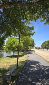 ที่ดินจัดสรรในโครงการ สมุทรสาคร หมู่บ้านคุณภาพสูง ราคาถูกกว่าตลาด มหาชัย ขายที่ดินจัดสรรแปลงสวยมาก มหาชัยเมืองทอง ฮวงจุ้ยเยี่ยม