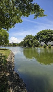 ที่ดินจัดสรรในโครงการ สมุทรสาคร หมู่บ้านคุณภาพสูง ราคาถูกกว่าตลาด มหาชัย ขายที่ดินจัดสรรแปลงสวยมาก มหาชัยเมืองทอง ฮวงจุ้ยเยี่ยม