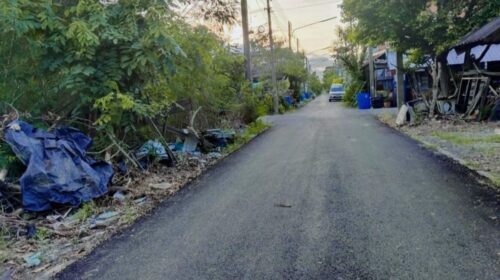 ขายที่ดินเปล่าเคหะคลอง 8 ติดสนาม ลานออกกำลังกาย ถมแล้ว น้ำ-ไฟฟ้าหน้าแปลง โทร 095-1653654