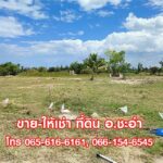 ขาย ที่ดิน 3 ไร่ ที่เปล่า ชะอำ เพชรบุรี ที่สวย ใกล้หัวหิน