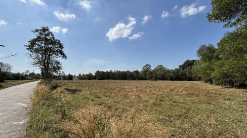 ขายที่ดิน 13 ไร่ 63 ตารางวา นครนายก ถนนสุวรรณศร หมู่ที่9 ต.ป่าขะ อ.บ้านนา โทร 089-7411750