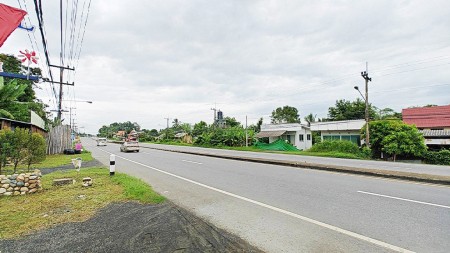 ขายที่ดินแม่ริม เชียงใหม่ 505 ตร.ว. ติดถนนหลัก วิวภูเขา 180° พร้อมร้านคาเฟ่ ใกล้แหล่งท่องเที่ยว