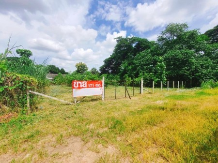 ที่ดินป่าแดด เชียงใหม่ ทำเลทองกลางเมือง ราคาถูกสุด ใกล้สนามบิน