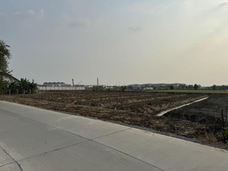 ที่ดินพุทธมณฑลสาย5 ซอยบางยาง ราคาถูกกว่าตลาด 6ไร่กว่า เหมาะลงทุน