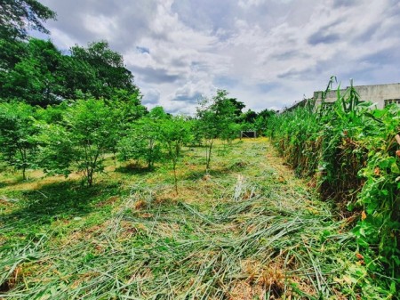ที่ดินป่าแดด เชียงใหม่ ทำเลทองกลางเมือง ราคาถูกสุด ใกล้สนามบิน