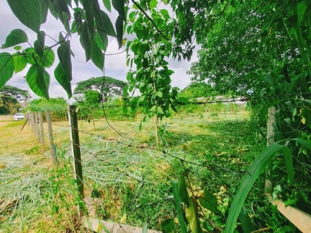 ที่ดินป่าแดด เชียงใหม่ ทำเลทองกลางเมือง ราคาถูกสุด ใกล้สนามบิน