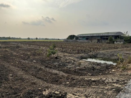 ขายที่ดินบางยาง พุทธมณฑลสาย5 6ไร่กว่า ถูกมาก 25000/วา ทำเลทอง