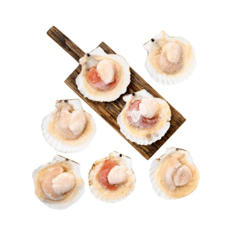 อาหารทะเลสำหรับร้านอาหาร กุ้งแม่น้ำสด อาหารทะเลแช่แข็ง สินค้าแดดเดียว และวัตถุดิบเกรดร้านอาหาร พร้อมบริการจัดส่งทั่วประเทศ