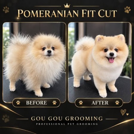 Gou Gou Grooming ร้านตัดขนสุนัข พระราม 2 ช่างดีกรีประกวด ราคาคุ้ม