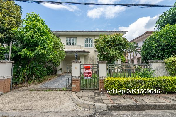 ที่ดิน ขาย พะเยา ขายถูกที่ดินดอกคำใต้ เหมาะสร้างบ้านอยู่อาศัย