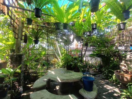 บ้าน ขาย บ้านมือสองลาดพร้าวโชคชัย4 เกษตรนวมินทร์–เอกมัย–รามอินทรา ใกล้โรงพยาบาลเปาโลโชคชัย4 เลียบด่วน สะดวกเดินทางหลายทาง